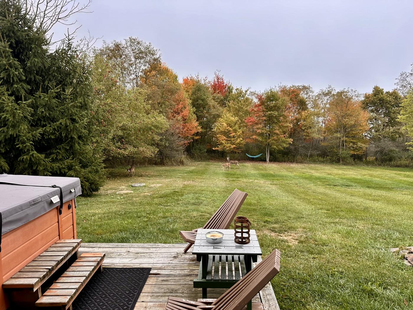 Back deck and lawn surrounded by fall foliage